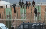 Des migrants sur la barrière séparant l'enclave espagnole de Melilla et le Maroc, le 10 février 2015