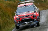Sébastien Ogier au volant de sa Citroën C3 WRC sur les routes du rallye du pays de Galles à Llangurig, le 5 octobre 2019