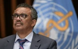 Le directeur général de l'OMS, Tedros Adhanom Ghebreyesus, le 3 juillet 2020 à Genève