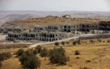 La colonie israélienne de Nokdim, en Cisjordanie occupée, le 13 octobre 2020
