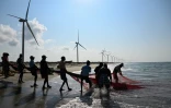 Cette photo, prise le 3 octobre 2026, montre des pêcheurs en train de pêcher sur une plage située près d'un parc éolien, sur la péninsule de Mannar, au Sri Lanka