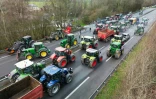 Manifestation d'agriculteurs près de Tinténiac, en Ille-et-Vilaine, le 24 janvier 2024