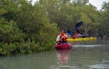 Des personnes en canoë dans la mangrove prÚs des cÎtes de Karachi, le 18 octobre 2020 au Pakistan
