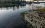 Des déchets flottent à la surface de la rivière Save, affluent du Danube, à Belgrade le 30 juillet 2020