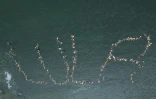 Vue aérienne de partisans du président sortant et candidat à la présidentielle, Luiz Inácio Lula da Silva, formant le mot "Lula" dans l'eau sur la plage Vermelha, à Rio de Janeiro, au Brésil