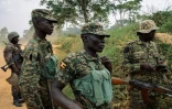 Des soldats de l'armée de République démocratique du Congo dans la province du Nord-Kivu, dans l'est du pays, le 17 décembre 2024