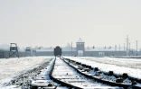 Vue sur le chemin de fer dans l'ex-camp de concentration d'Auschwitz-Birkenau, le 27 janvier 2014