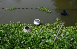 Un pêcheur inspecte ses filets dans les zones humides à l'est de Calcutta, le 21 mars 2023 en Inde