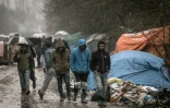 Des migrants le 18 févier 2016 à Grande-Synthe près de Dunkerque