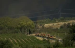 Des véhicules de pompiers sur une route bordée par des vignes le 5 août 2025 à Tournissan, dans l'Aude 