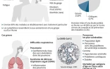 Coronavirus : que se passe-t-il si vous êtes diagnostiqué positif ?