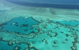 La Grande barrière de corail, en Australie, près de la côte des Whitsunday Islands, photographiée le 20 novembre 2014