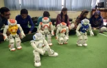 Des étudiants pakistanais membres de l'équipe de robotique programment leurs robots à l'université de sciences et de technologie d'Islamabad, le 9 mai 2016