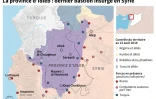La province d'Idleb : dernier bastion insurgé en Syrie