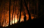 Un feu de forêt à Casais do Vento à Alvaiazere, au Portugal, le 10 juillet 2022