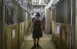 La cochère de calèches Christina Hansen, dans une étable de Manhattan, le 26 août 2022 à New York