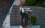 Des cacatoès soufrés perchés sur une statue dans un parc à Hong Kong, le 25 juillet 2025
