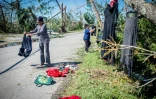 Une famille accroche des vêtements à des arbres afin de les faire sêcher, après le passage de l'ouragan Michael, le 11 octobre 2018 à Panama City (Floride). 