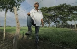 Jose Alarcon, fermier à Cedro Cocido, dans le nord de la Colombie, le 7 juin 2018