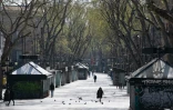 Les Ramblas à Barcelone, quasi-déserts, le 19 mars 2020
