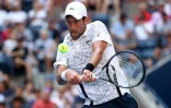 Le Serbe Novak Djokovic face au Portugais Jaoa Sousa en 8e de finale de l'US Open, le 3 septembre 2018 à New York