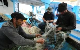 Des pêcheurs préparent leurs filets dans le port de Zarzis dans le sud de la Tunisie, le 21 mai 2019