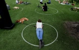 Des personnes pratiquent la distanciation sociale dans des cercles tracés sur la pelouse dans un parc de Brooklyn, le 17 mai 2020 à New York