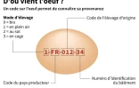 D'où vient l'oeuf?