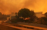 Un arbre commence Ă prendre feu devant une maison du quartier de Pacific Palisades, aux portes de Los Angeles, le 7 janvier 2025