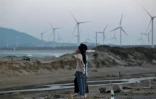 Des personnes sur une plage, devant des éoliennes sur l'île de Pingtan, le point de Chine continentale le plus proche de l'île principale de Taïwan, dans la province chinoise du Fujian (est), le 14 octobre 2024.