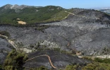 Zone calcinée et dévastée par des incendies près de Carnoux-en-Provence (sud-est), le 22 août 2017