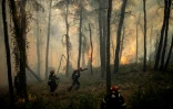 Des pompiers grecs tentent d’éteindre un incendie de forêt dans la région de Porto Germeno, à quelque 70 kilomètres au nord-ouest d’Athènes, dans la région de la Viotia, le 2 août 2026