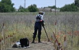 Une démineuse de l'organisation Halo Trust dans un champ près du village de Snigourivka, dans la région de Mykolaïv, le 4 juin 2024 en Ukraine