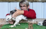 Christian Pacteau, responsable d'un élevage d'aigles de Bonelli à Saint-Denis-du-Payré, en Vendée, s'occupe d'un jeune rapace le 9 juin 2022 