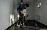 Le maître-chien Gustav Hotovy entraîne un chien à reconnaître les odeurs de peronnes atteintes du Covid-10 au centre de dressage de Kliny, le 22 janvier 2021 en République Tchèque