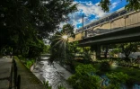 Corridor vert Ă Medellin en Colombie, le 15 juin 2021