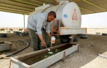 Turki al-Jayashi, directeur de la réserve de Sawa, ajoute des nutriments dans un abreuvoir, le 8 juin 2022 en Irak