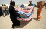 Un camp de déplacés ayant fui les combats à Fallouja en Irak, à Amriyat al-Fallujah le 27 juin 2016