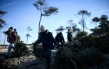 Des enfants transportent des sapins de Noël recyclés pour combler une brèche dans une dune sur une plage de la Teste-de-Buch, le 15 janvier 2025 en Gironde
