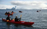 Des touristes en kayak près de l'île de Half Moon, en Antarctique, le 9 novembre 2019
