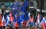 Manifestation en faveur du retour au Royaume-Uni au sein de l'Union européenne, le 23 septembre 2023 à Londres