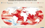 Anomalies de température des océans en 2024