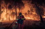 Cette photo fournie, diffusée le 26 juillet 2026 et prise le 24 juillet 2026 par l’Unité militaire d’urgence (UME) espagnole, montre des membres de l’UME combattant un incendie de forêt près de Navas del Rey, à 55 kilomètres au sud-ouest de Madrid