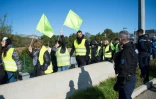 Des membres des "gilets jaunes" évacués par la gendarmerie après avoir tenté d'occuper un pont autoroutier près d'Aubagne (sud), le 17 novembre 2019