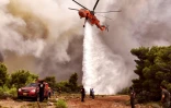 Un hélicoptère bombardier d'eau arrose un feu de forêt près du village de Kineta, dans la banlieue d'Athènes, le 24 juillet 2018