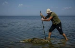 Le scientifique Ivan Roussev examine un dauphin mort sur une plage du parc national des Lagunes de Touzly, le 28 août 2022 en Ukraine