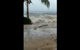 Capture d'écran d'une vidéo publiée par la plateforme ESN, montrant des vagues frappant la côte de Suva, capitale des Fidji, après une éruption volcanique sous-marine dans l'océan Pacifique aux îles Tonga, le 15 janvier 2022