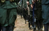 Des membres de la guérilla des Farc à Policarpa, dans le sud de la Colombie, le 16 janvier 2017