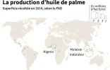 La production d'huile de palme