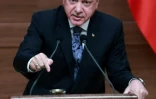 Le président turc, Recep Tayyip Erdogan, le 19 janvier 2017 à Ankara